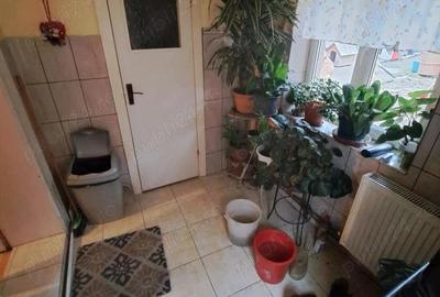 Casa 148 mp construi?i, 3 camere, 2 bucatarii, Re?i?a, Muncitoresc - 9