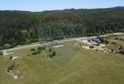 Teren agricol intravilan de 5561 mp, în Păltinoasa - 4