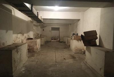 Spațiu industrial, în Grivița - 3