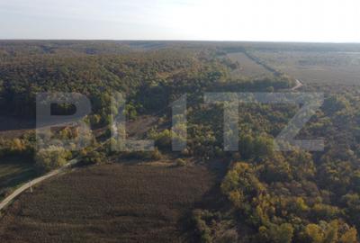Casă cu 2 camere cu Teren 1000 Mp în Valea - 6