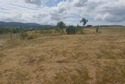 Teren de 4102 mp, în Valea Crișului - 2