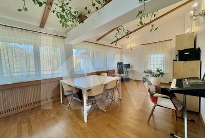 Vila superba in Parcul Sub Arini– Ideala pentru Rezidenta sau Business - 16