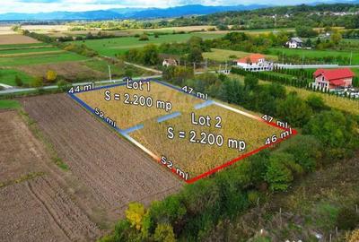 Teren de 4400 mp, în Finteușu Mare - 3