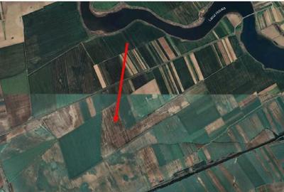 Teren Gradinari, cota 1/2. ID: R1983933 - 4