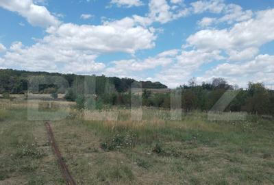 Vila individuala pe parter Priseaca - 8