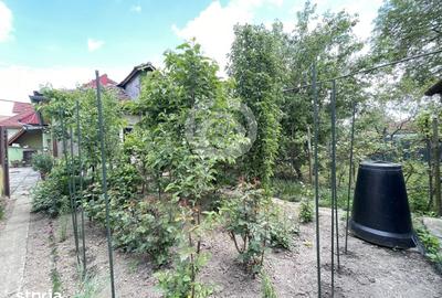Casă cu 7 camere cu Teren 432 Mp în Lupeni - 9