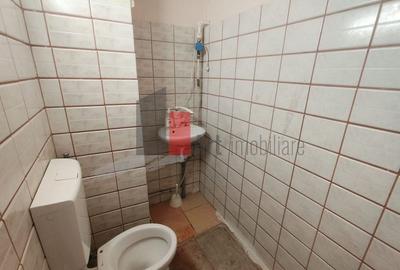 Spatiu Piata Domenii, trafic pietonal si auto Spatiu Piata Domenii, trafic pietonal si auto - 6