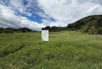 Teren de 700 mp, în Troianu - 6