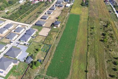 Spațiu comercial, în Olteni - 5