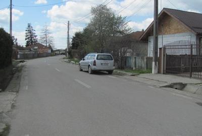 Cornetu - Lalelelor, Stradal - 7