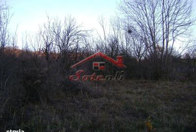 Spațiu comercial, în Central - 3