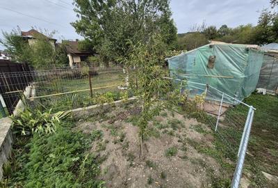 Vila 4 camere + teren 818 mp central Provita de Sus (lângă școală) - 53