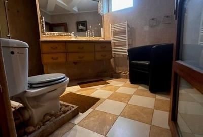 Baneasa, Sisesti, vanzare vila S+P+1E+M, renovata in 2014, 1576 mp teren, - 15
