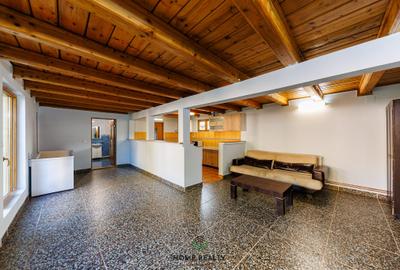 Casă individuală cu 9 camere cu Teren 3763 Mp în Peciu Nou - 20