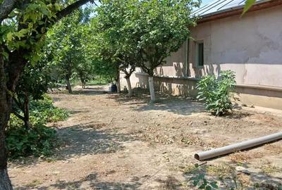 Casă cu 4 camere cu Teren 1500 Mp în Bora - 7