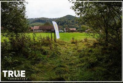 Teren intravilan Câmpul Cetății 2600m? - zonă de vacanță Teren intravilan Câmpul Cetății 2600m? - zonă de vacanță - 17