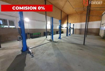 Comision 0% Afacere la cheie: service auto de inchiriat 246 mp utili, Sag - 5