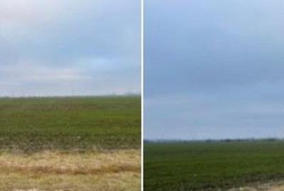 Teren de 10000 mp, în Cerna - 2