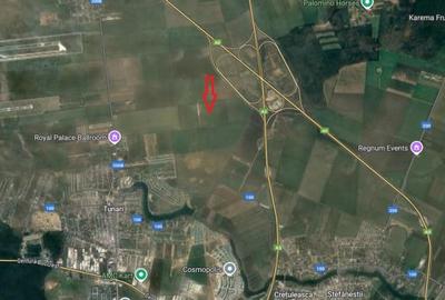 Teren 16.434mp, intravilan, Tunari-Lacul Pasarea - 3