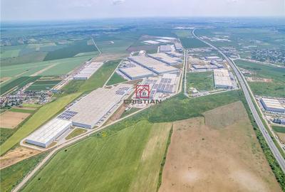 Spațiu comercial, de 25,000 mp, în Bolintin-Deal - 5