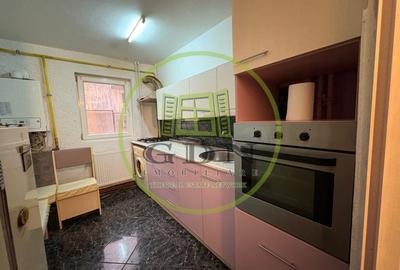 Apartament cu 2 camere semidecomandat, mobilat în Brazda lui Novac - 5