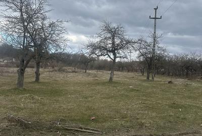 Spațiu comercial, în Voila - 3