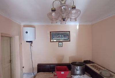 Casa sat NEDELEA + teren 2660 mp - 20