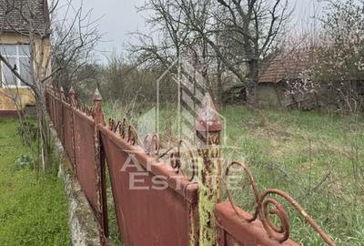 Casă unifamilială în Remetea Mare  cu teren de 3383 mp. - 8