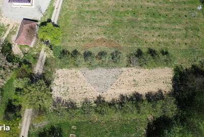 Spațiu comercial, în Copalnic - 4