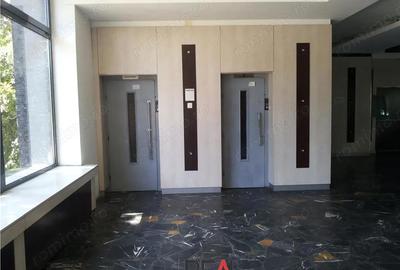 Spațiu comercial, în Kiseleff - 2