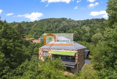 Cornu, Vedere la Padure, Vila D+P+M, 6600mp teren, 4 parcare - 6