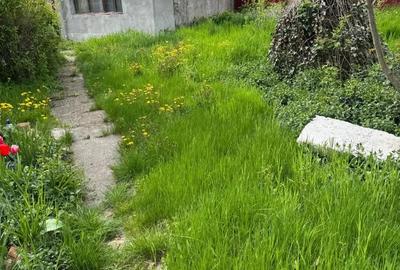 Teren de 610 mp, în Băneasa - 6