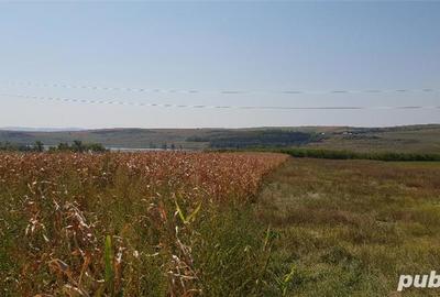 Teren de 5500 mp, în Central - 3