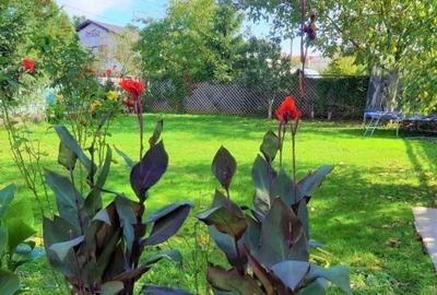 Casă cu 4 camere în Snagov - 3