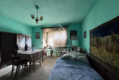 Casa cu 5 camere, 777 mp teren la MOLDOVA VECHE, ideal casa de vacanta - 11