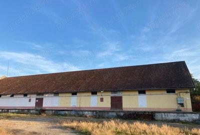 Hala de inchiriat - 3