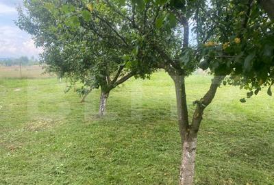 Teren extravilan 10 ari cu Cabana de 45 mp - 3