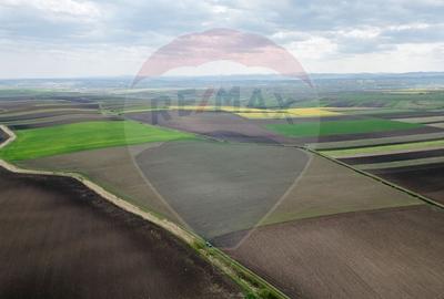 Teren 86,000mp Suceava / DN 17 - 2