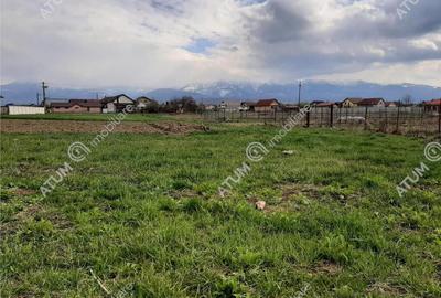 Eren intravilan 1400 mp de pe Valea Avrigului - 1