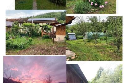 Casă cu 5 camere cu Teren 70000 Mp în Gârliște