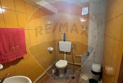 Casa -magazin Golesti - 5