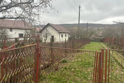 Casă individuală cu 4 camere cu Teren 3000 Mp în Văleni-Podgoria - 3