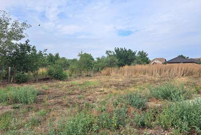 Teren pentru constructii casa cu fundatie turnata I Sag - 2