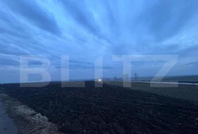 Oportunitate investi?ie, teren 10000 mp, toate utilita?il - 3