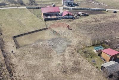 Teren Construcții intravilan de 3591 mp, în Aghireșu-Fabrici - 6
