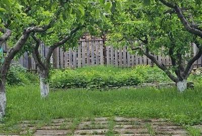 Casă de vanzare Filipesti ? liniște verdeata si un loc numit acasa