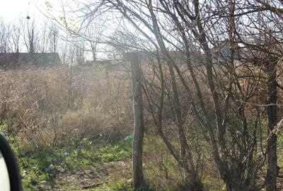 Casă cu 3 camere în Jilavele - 3