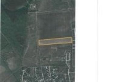 Teren Ostratu-Tamasi // OPORTUNITATE INVESTITII Teren Ostratu-Tamasi // OPORTUNITATE INVESTITII - 12