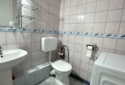 Apartament-2-camere-DECOMANDAT-POLONA-DOROBANTI - 18