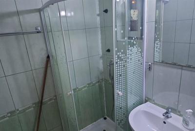 Garsonieră decomandată în Nicolina - 12